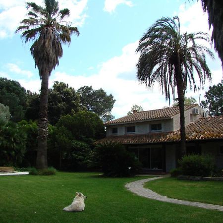 La Villa Saint André - Argeles sur mer Eksteriør bilde