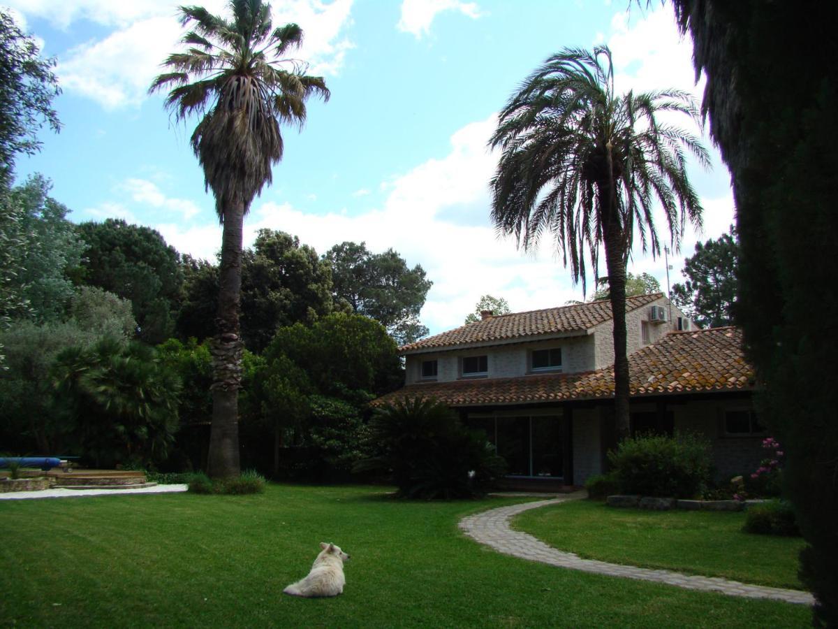La Villa Saint André - Argeles sur mer Eksteriør bilde