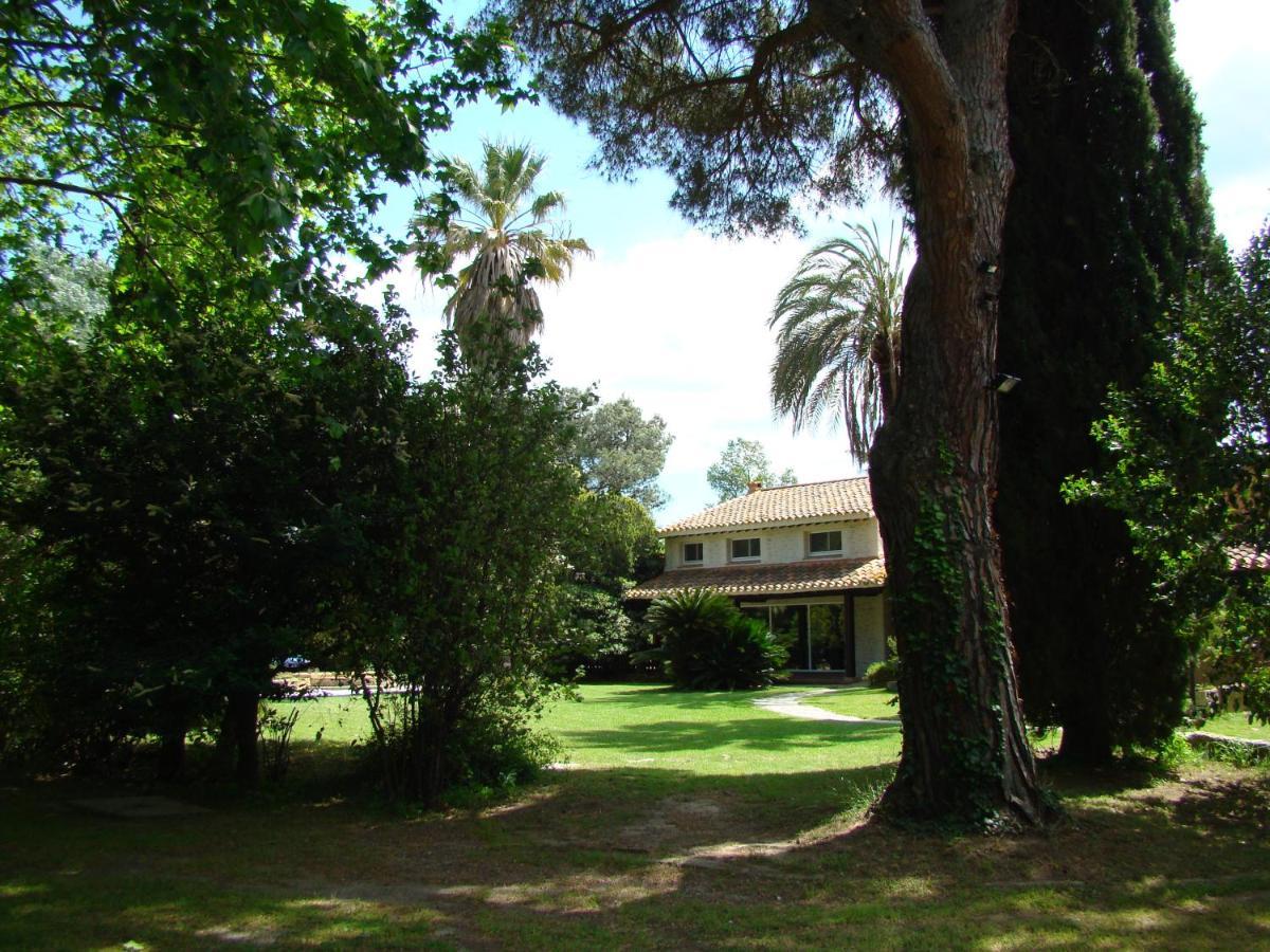 La Villa Saint André - Argeles sur mer Eksteriør bilde
